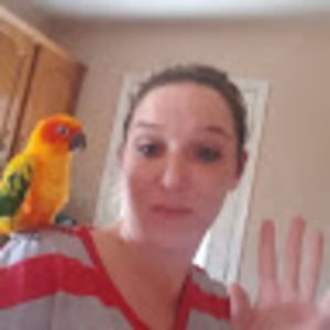 Meet your Posher, Kara